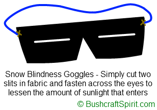 snow blindness goggles